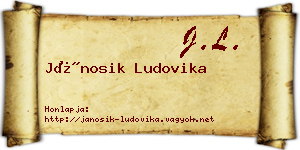 Jánosik Ludovika névjegykártya